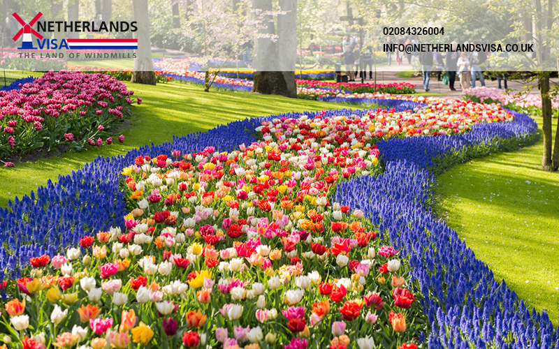 Keukenhof 2022